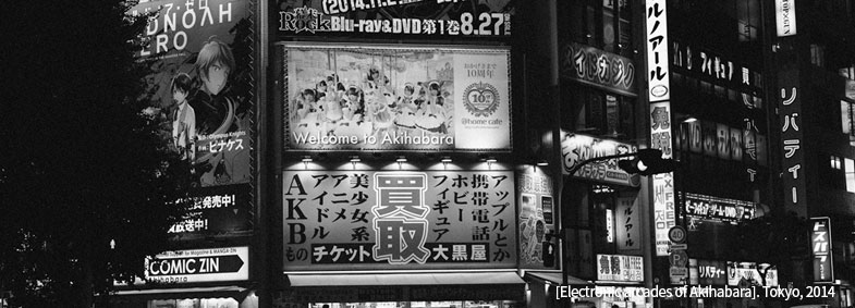 [Electronic arcades of Akihabara]. Tokyo, 2014