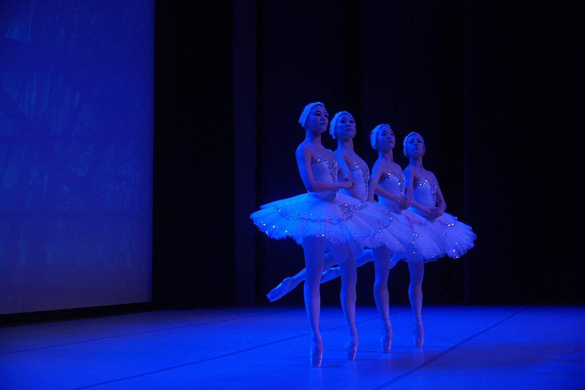 The First in a Lifetime Series<br>  “Ballet Performance with Commentary - Swan Lake” thumbnail image 2