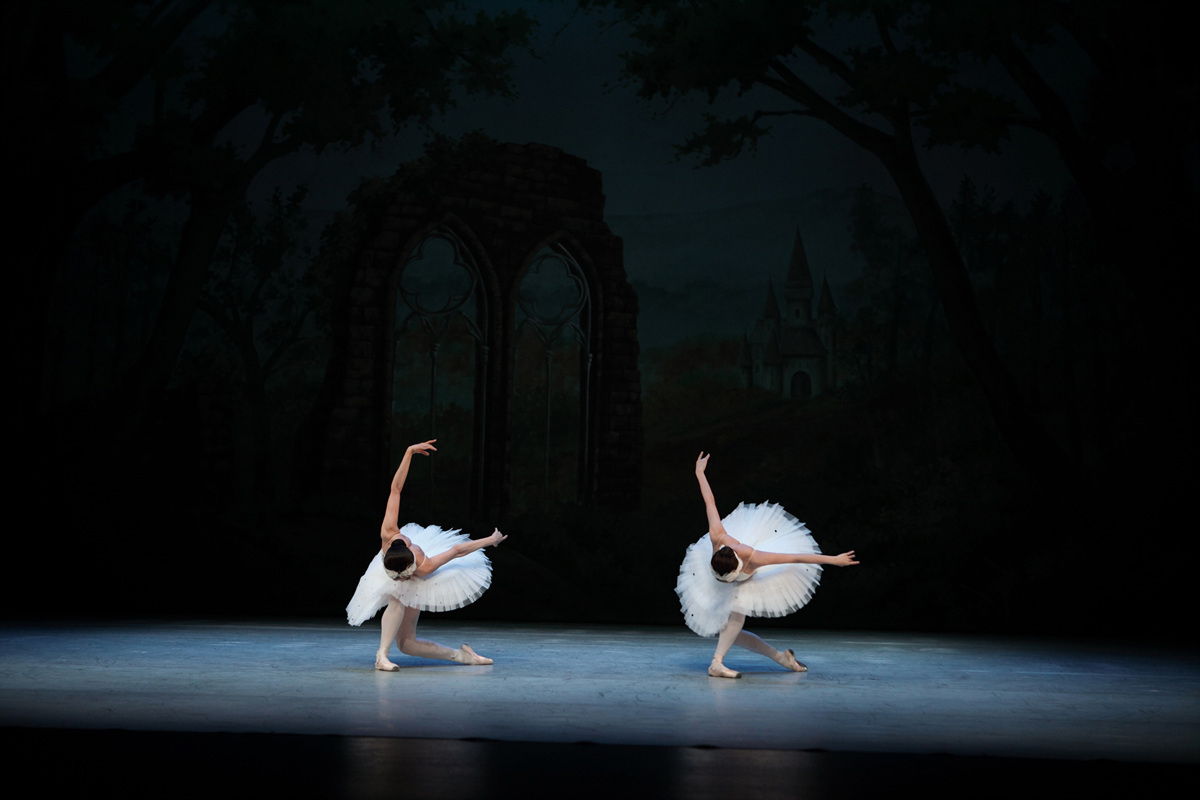 The First in a Lifetime Series<br>  “Ballet Performance with Commentary - Swan Lake” thumbnail image 3